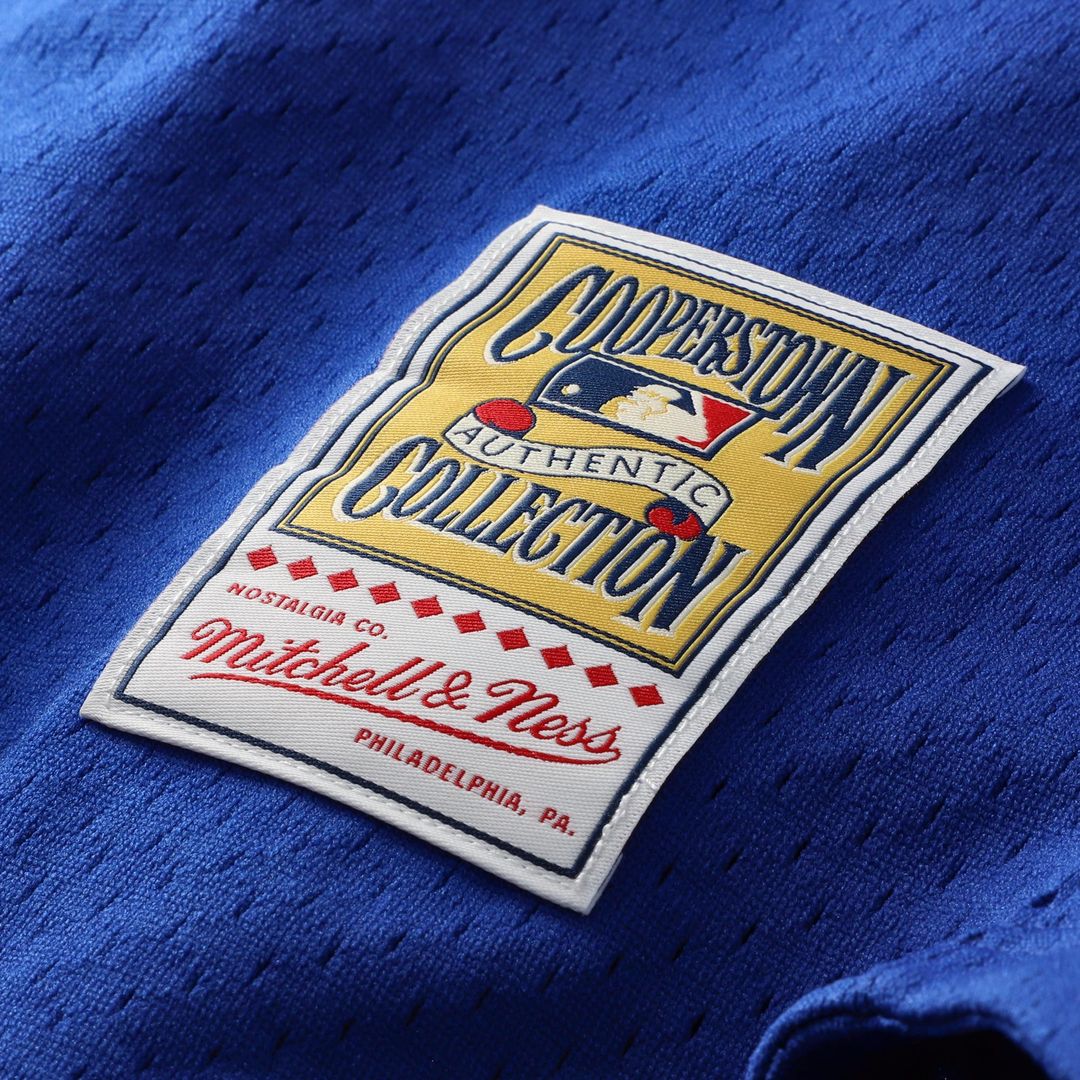 Los Angeles Dodgers Mike Piazza Mitchell & Ness Cooperstown Mesh Batting Practice Button - Up Jersey - Royal MLB Team Jersey Baseball Fan Apparel