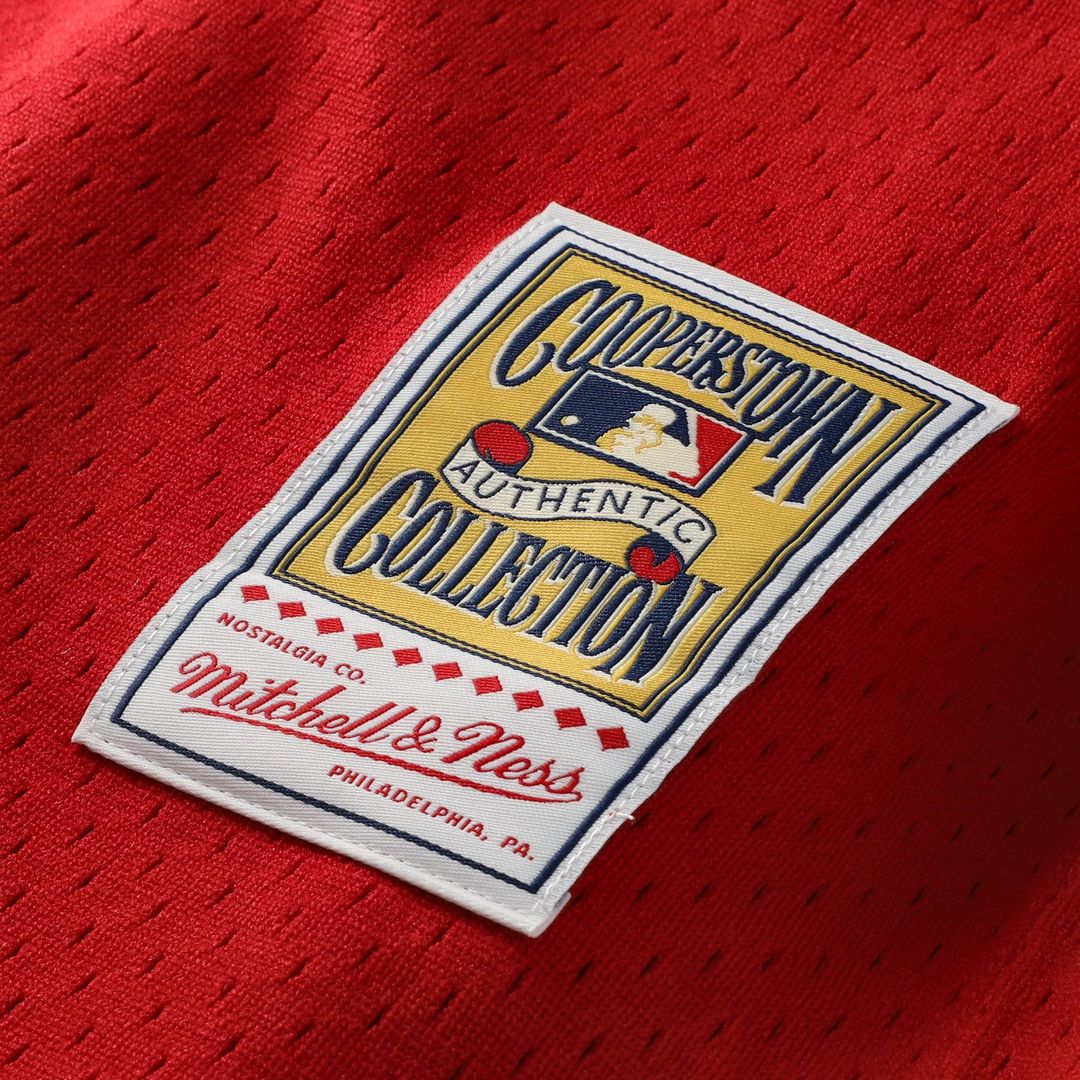 Cincinnati Reds Johnny Bench Mitchell & Ness Cooperstown Big & Tall Mesh Batting Practice Jersey - Red MLB Team Jersey Baseball Fan Apparel