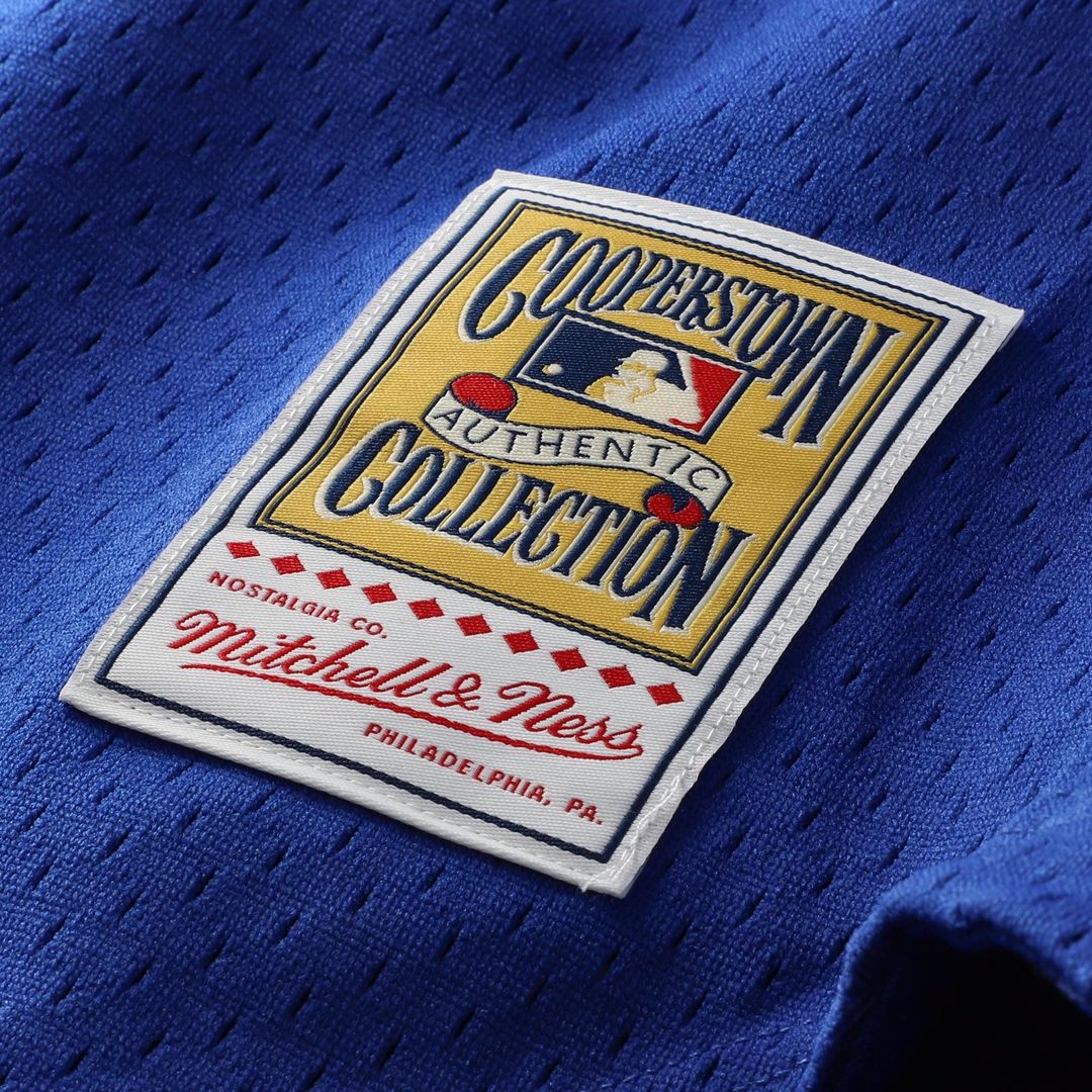 Chicago Cubs Ryne Sandberg Mitchell & Ness Cooperstown 1997 Mesh Batting Practice Button - Up Jersey - Royal MLB Team Jersey Baseball Fan Apparel