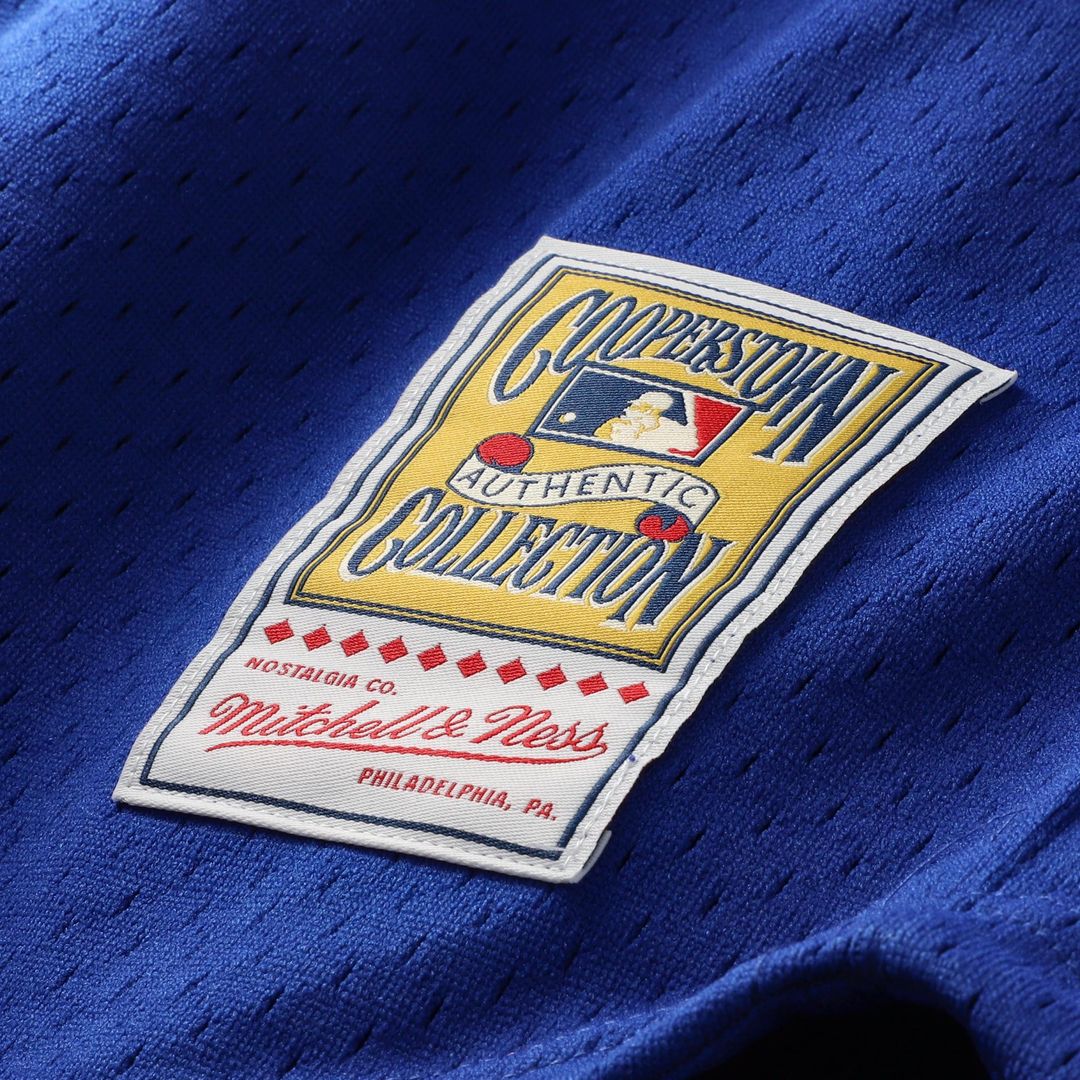 Chicago Cubs Ryne Sandberg Mitchell & Ness Cooperstown 1996 Mesh Batting Practice Button - Up Jersey - Royal MLB Team Jersey Baseball Fan Apparel