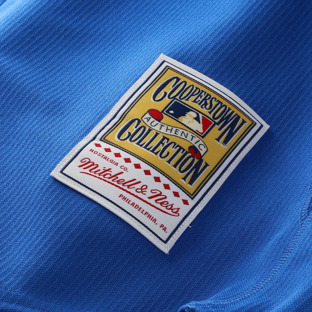 Toronto Blue Jays Jose Bautista Mitchell & Ness Authentic Batting Practice Jersey - Blue MLB Team Jersey Baseball Fan Apparel
