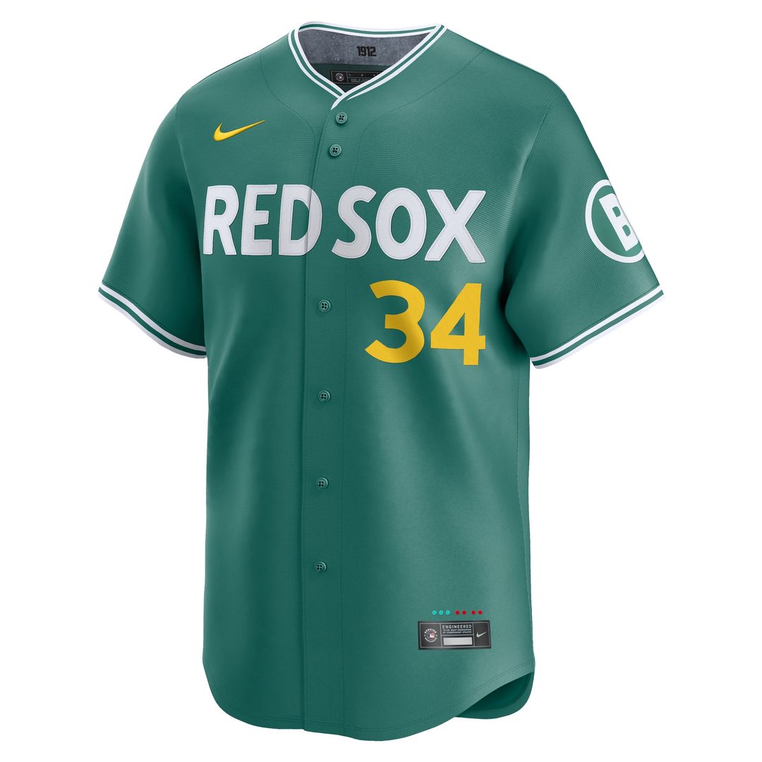 Boston Red Sox David Ortiz Nike 2025 City Connect Limited Retired Player Jersey - Green MLB Team Jersey Baseball Fan Apparel