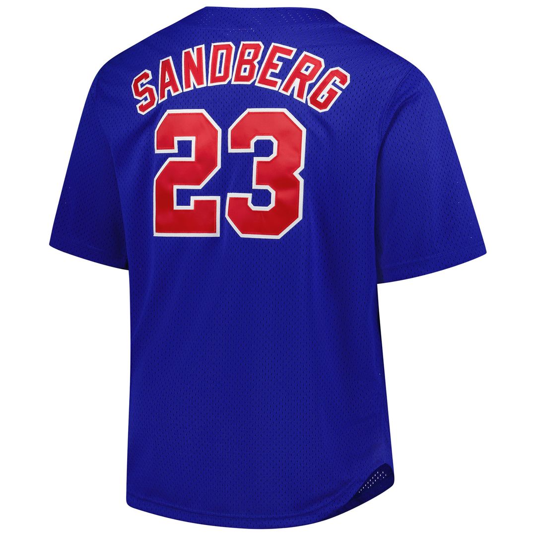 Chicago Cubs Ryne Sandberg Mitchell & Ness Big & Tall Cooperstown Mesh Batting Practice Jersey - Royal MLB Team Jersey Baseball Fan Apparel