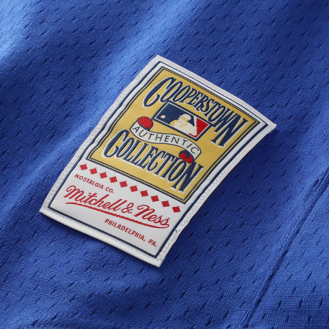 Texas Rangers Nolan Ryan Mitchell & Ness Big & Tall Cooperstown Mesh Batting Practice Jersey - Royal MLB Team Jersey Baseball Fan Apparel