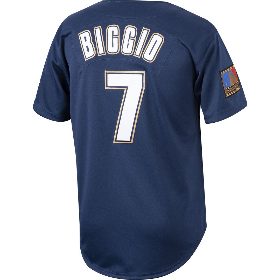 Houston Astros Craig Biggio Mitchell & Ness Cooperstown 1994 Authentic Jersey - Navy MLB Team Jersey Baseball Fan Apparel
