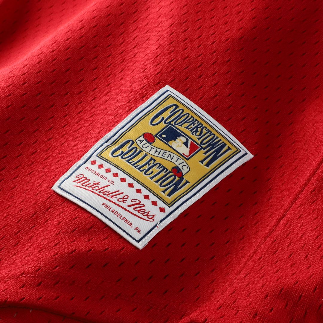 St. Louis Cardinals Ozzie Smith Mitchell & Ness Authentic Batting Practice Jersey - Navy MLB Team Jersey Baseball Fan Apparel